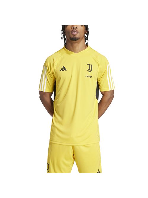 adidas juventus maglia allenamento uomo 23/24 Juventus | IQ0875JUVE TR JSY